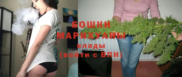 ПСИЛОЦИБИНОВЫЕ ГРИБЫ Верея